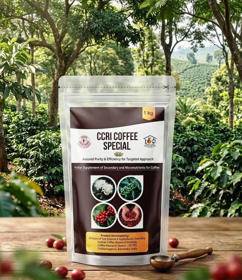 CCRI Coffee Special