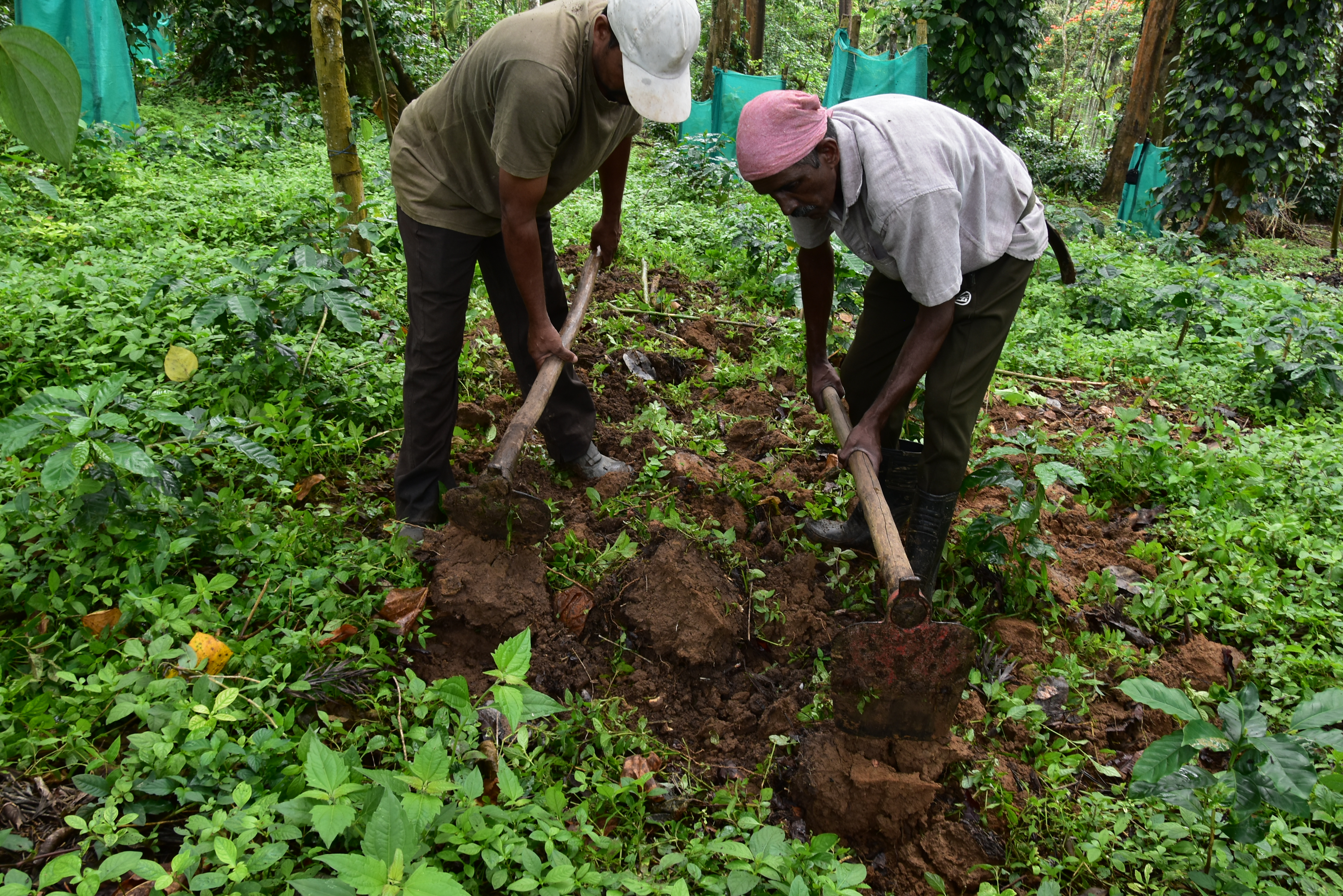 Cover digging