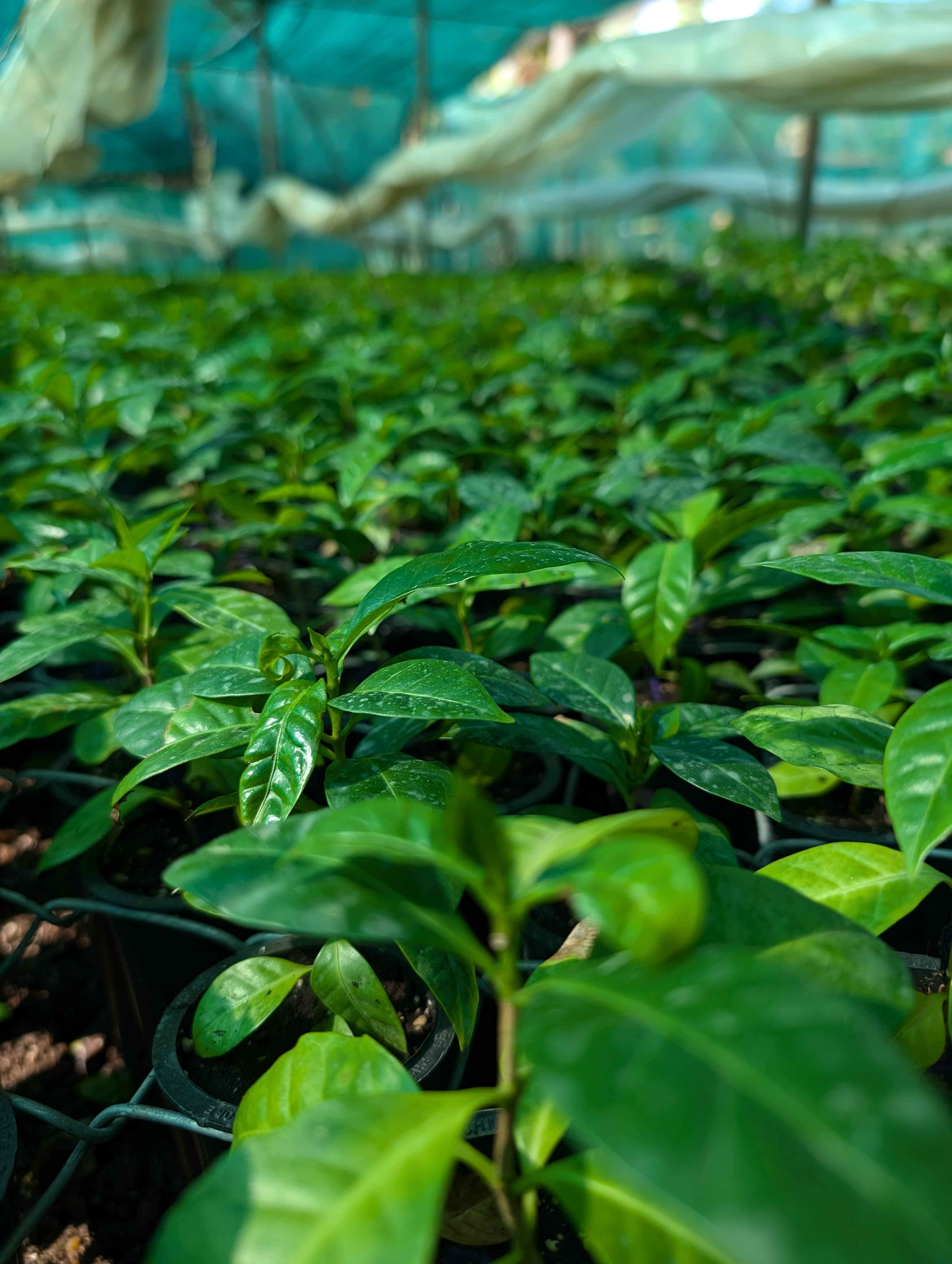 Selection 14 - Image 1