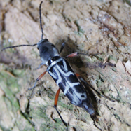 Selection 14 - Image 2