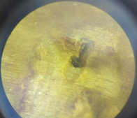 Selection 14 - Image 3