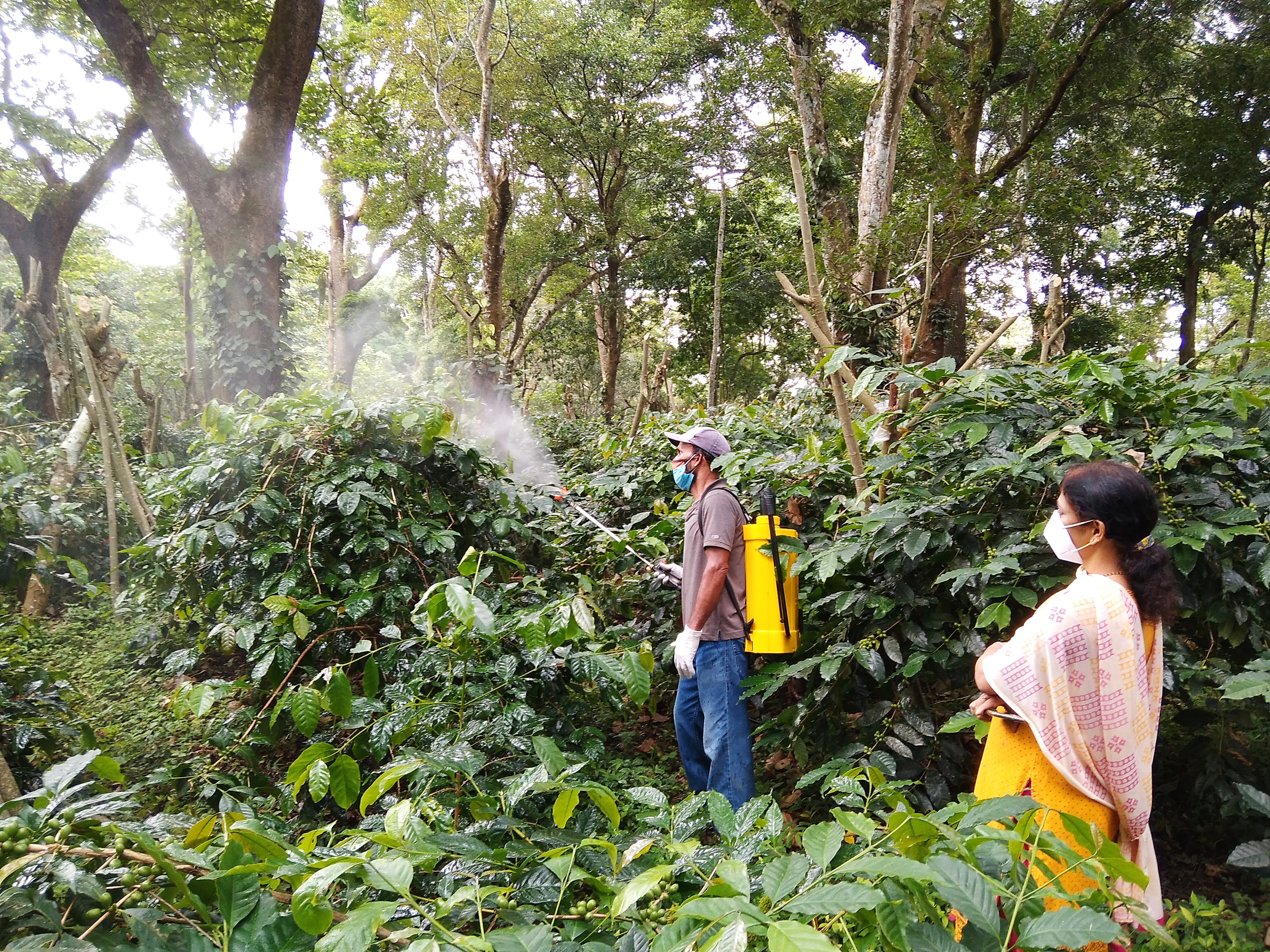Plant Physiology