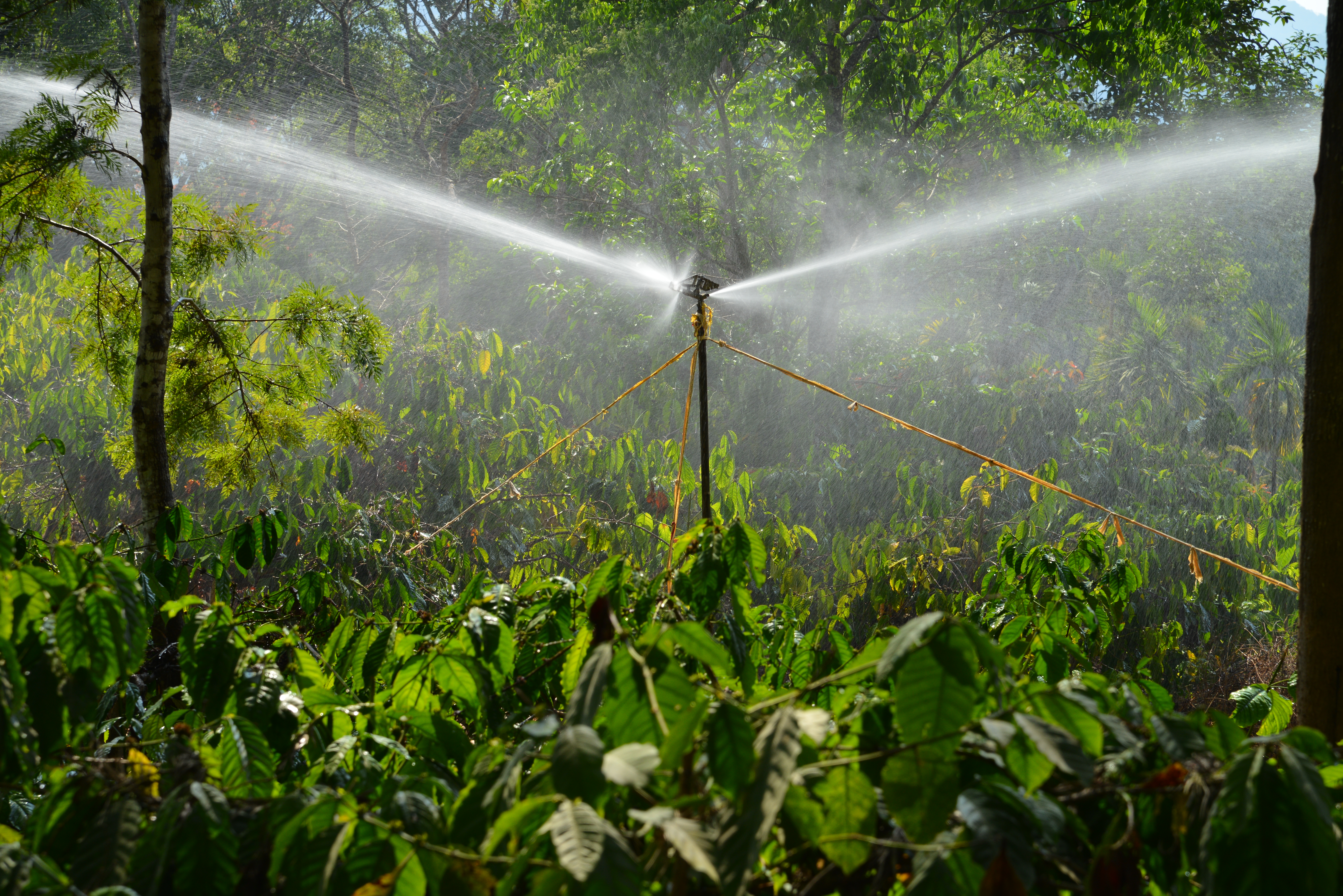 Sprinkler irrigation